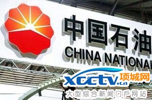 c72c216cb4db3f14.jpg