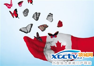 ���ô������������ֻ�ӭ̬��