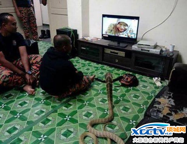 ����Ȣ��Ϊ�ޣ���������ʮ���Ҹ�