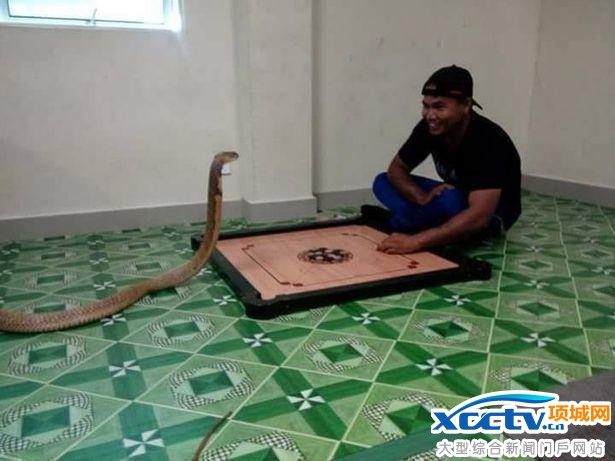 ����Ȣ��Ϊ�ޣ���������ʮ���Ҹ�