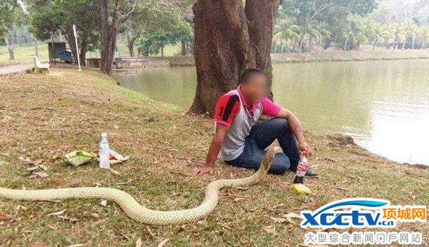 ����Ȣ��Ϊ�ޣ���������ʮ���Ҹ�