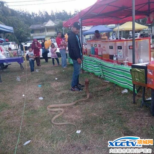 ����Ȣ��Ϊ�ޣ���������ʮ���Ҹ�