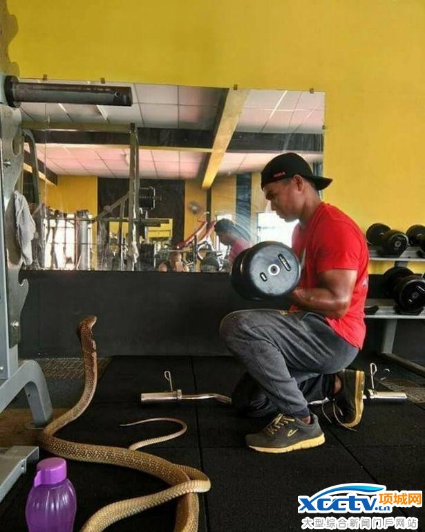 ����Ȣ��Ϊ�ޣ���������ʮ���Ҹ�