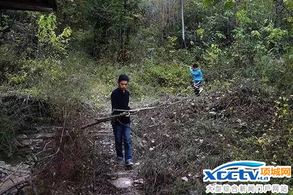 ��ĸ����ȥ�� �¶��ֵܼ���ֻʣ15������