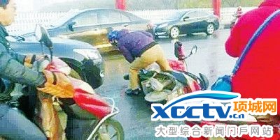 ���� (1).jpg