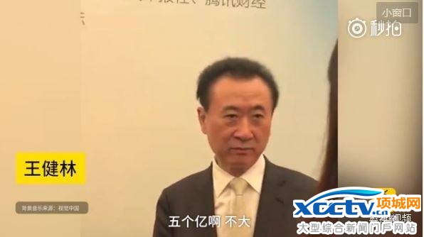 王健林5个亿小投资