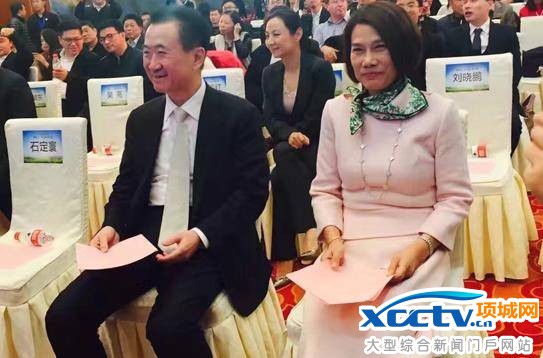 王健林5个亿小投资