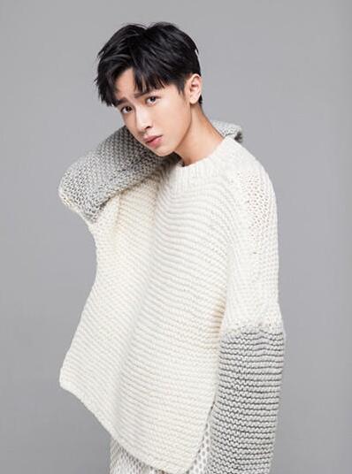 95后新晋男神大盘点 TFBOYS刘昊然史磊榜上有名