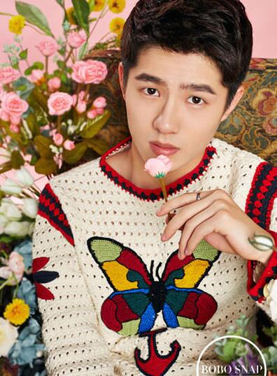 95后新晋男神大盘点 TFBOYS刘昊然史磊榜上有名