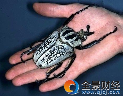 ��ͼ��10��������� ʷǰ�������2�׶�