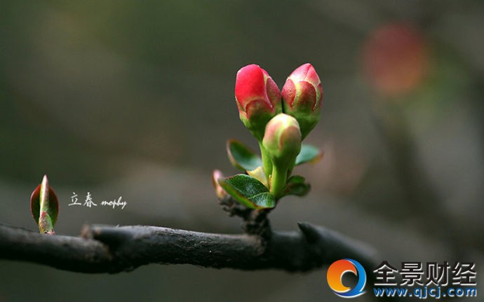 2017������ʲôʱ�� 2017������ʱ�� ����ϰ��