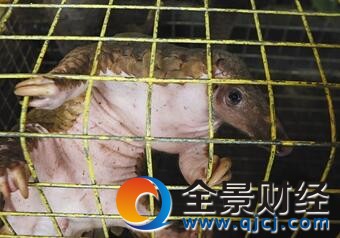 ��ҩ���ع���ɽ�� ����ͬ���ã������Ѳ������빺��