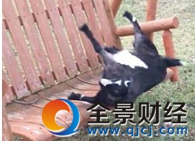 ɽ�����һ��佩ʬ ���ֲ�һ���Ż򼤶����⽩ס